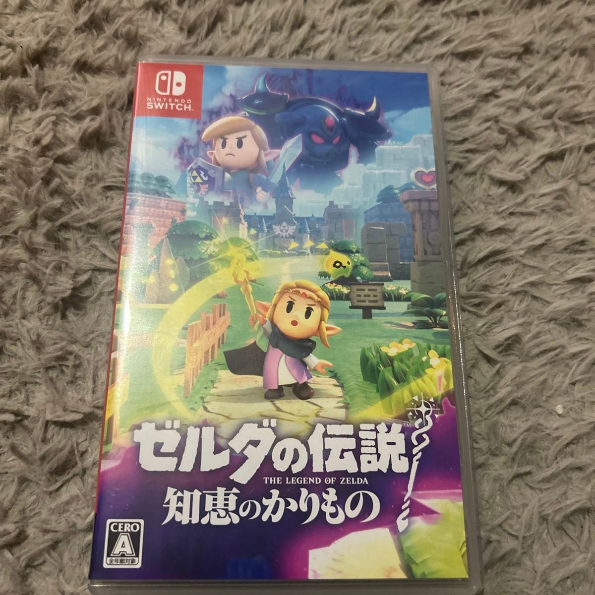 ゼルダの伝説 知恵のかりもの Nintendo Switch ニンテンドースイッチ