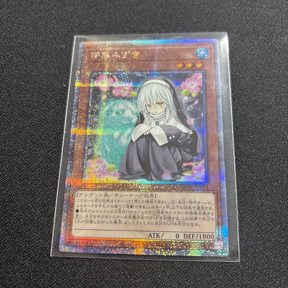 儚無みずき QCAC-JP052 25th クォーターセンチュリーシークレットレア イラスト違い 美品