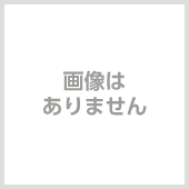 大人女子 高見えする バッグ カバン オールシーズン 新品未使用 レディースm42baT