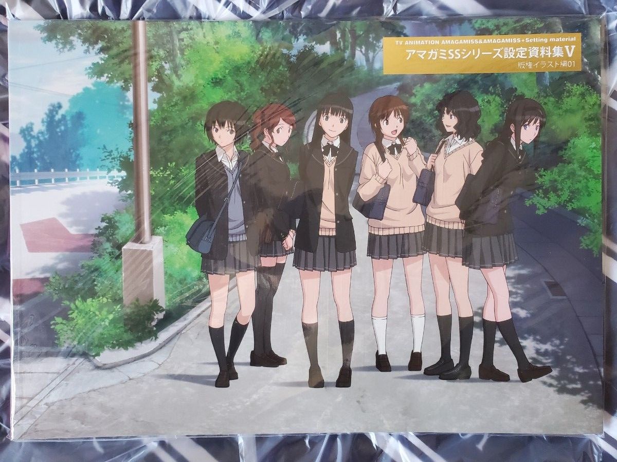 アマガミSS　設定資料集Ⅴ　版権イラスト集二手;物流保障;未使用