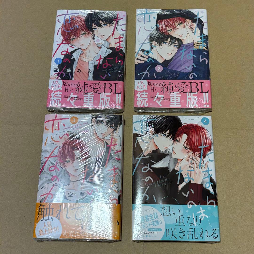 たまらないのは恋なのか 4冊セット Ｎｏ．6接近未使用