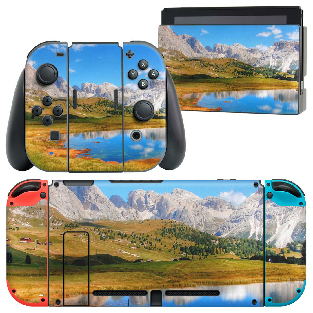 igsticker Nintendo Switch 用 デザインスキンシール 任天堂 ニンテンドー スイッチ 専用 本体ドック Joy-Con Joycon ジョイコン 専用 ゲーム機 カバー アクセサリー フィルム ステッカー 023514 景色　写真　自然
