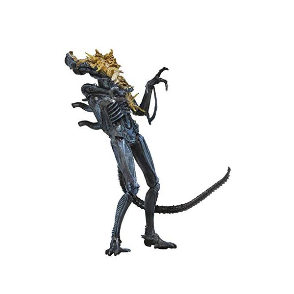 エイリアン アクション フィギュア 人形 ネカ NECA - Aliens 7" scale action figure - Series 12 Xenomorph Warrior Blue (Battle Damaged)