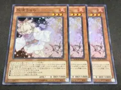 【初版】遊戯王 灰流うらら スーパー 3枚セットMACR-JP036
