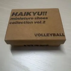 ミニチュアシューズコレクション 菅原孝支