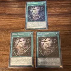 英語版 遊戯王 ブラックガーデン 1st シークレット　3枚セット