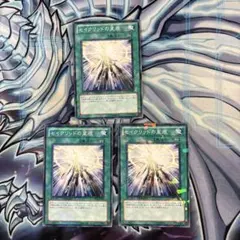 遊戯王　セイクリッドの星痕　DT ノーパラ　3枚